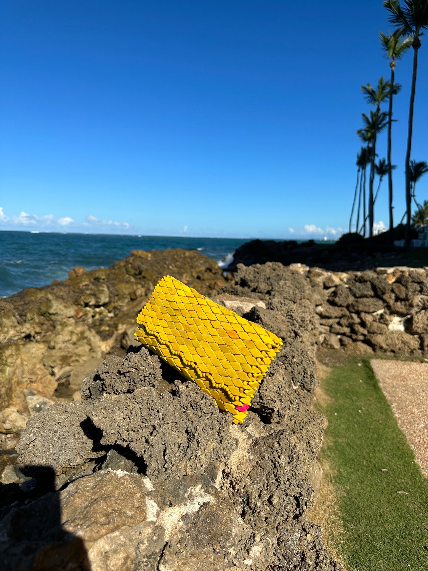 N°. 468 Canary