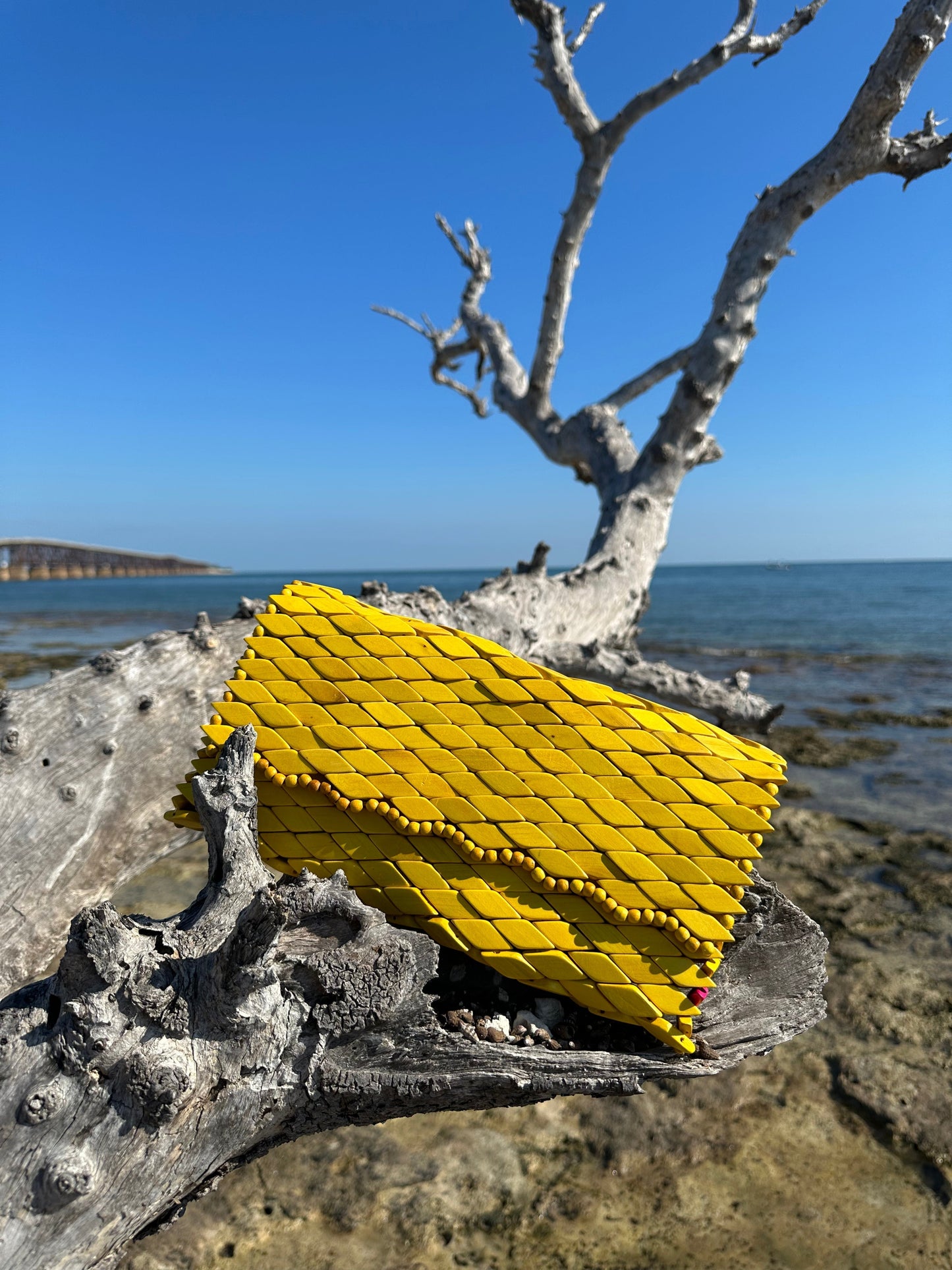 N°. 468 Canary